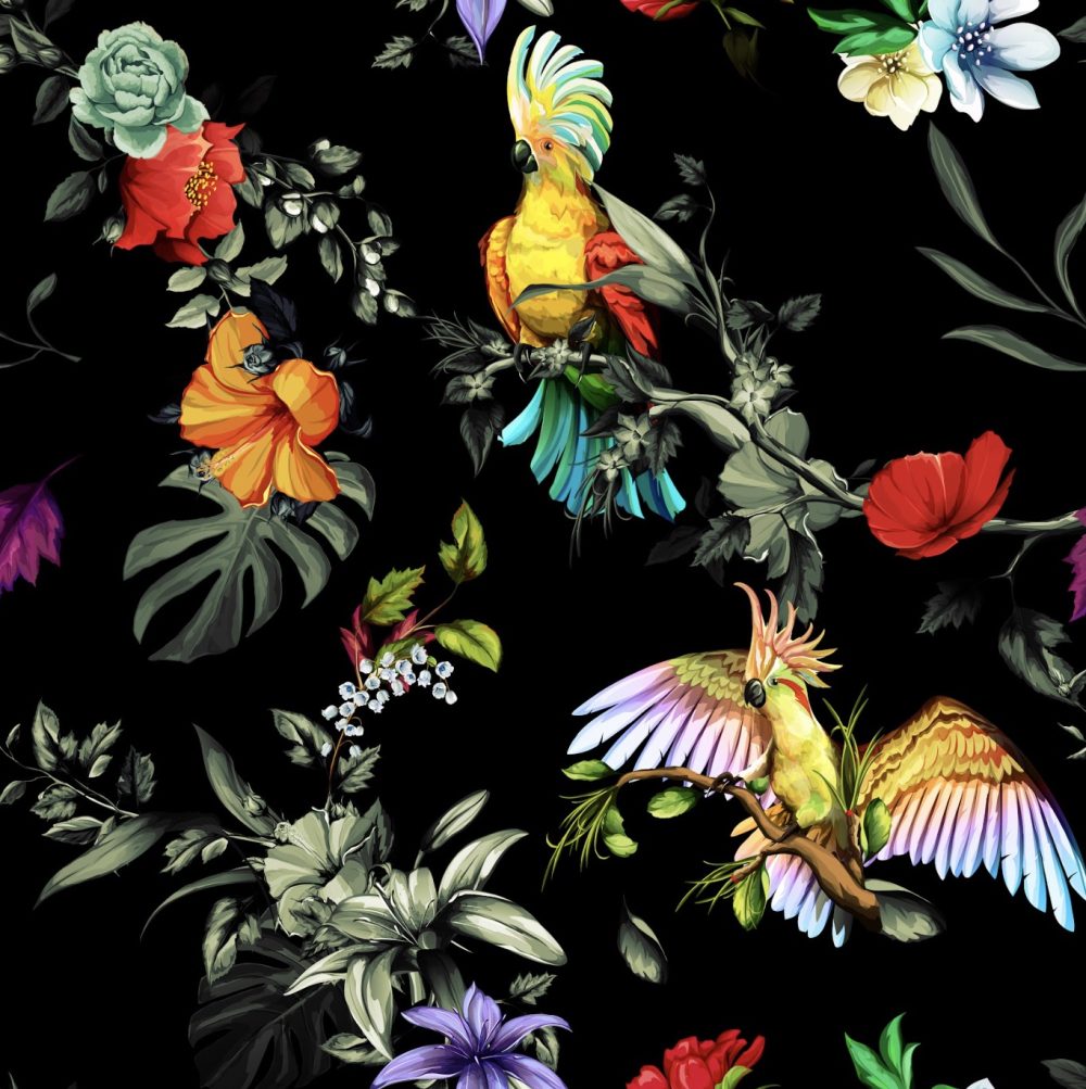 Bright birds and colourful flowers on black background wallpaper and wall murals shop in South Africa. Wallpaper and wall mural online store with a huge range for sale.