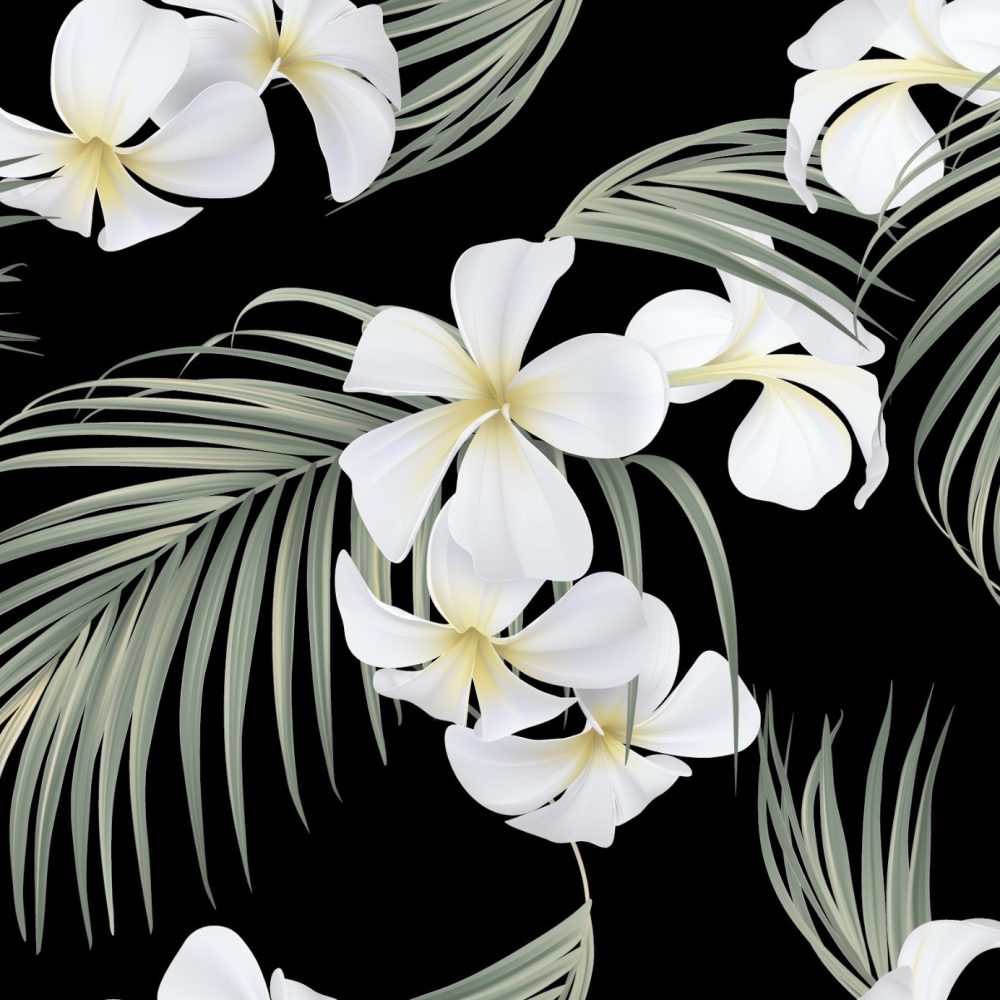 Frangipani flowers and fir leaves wallpaper and wall murals shop in South Africa. Wallpaper and wall mural online store with a huge range for sale.