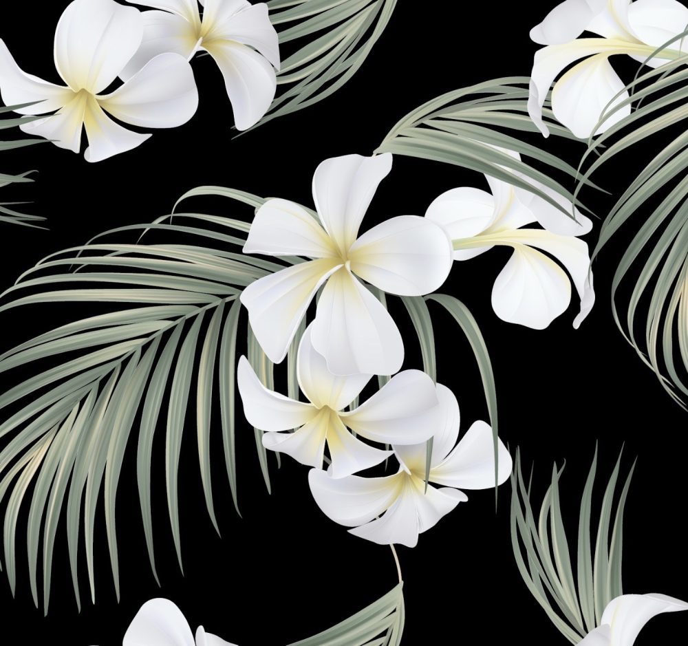 Frangipani flowers and fir leaves wallpaper and wall murals shop in South Africa. Wallpaper and wall mural online store with a huge range for sale.