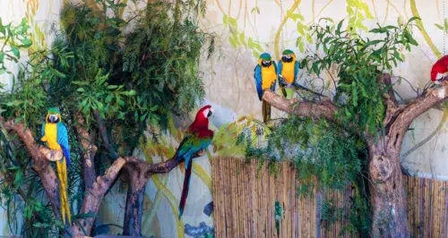 Mural Rainbow Gathering 3 Wallpaper and Wall Murals South Africa Mural Rainbow Gathering
