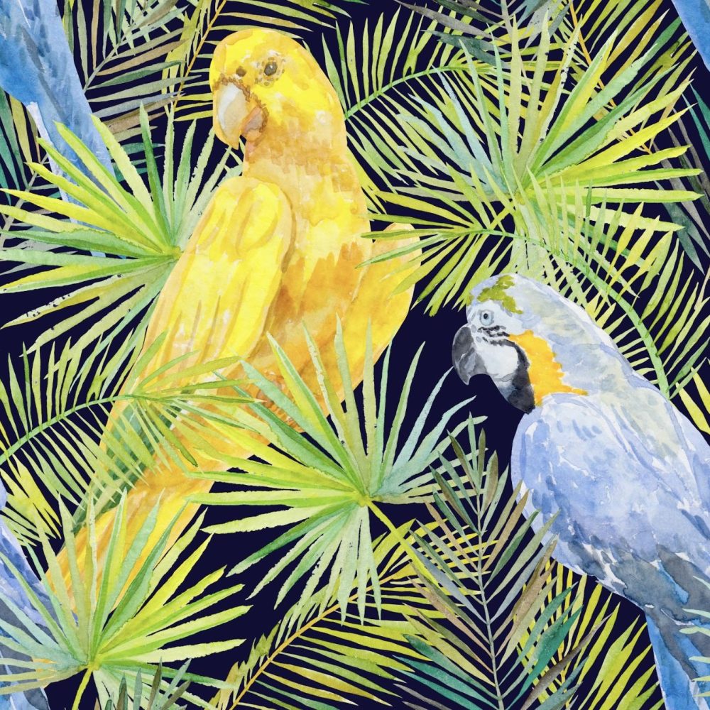 Yellow blue parrot wallpaper and wall murals shop in South Africa. Wallpaper and wall mural online store with a huge range for sale.