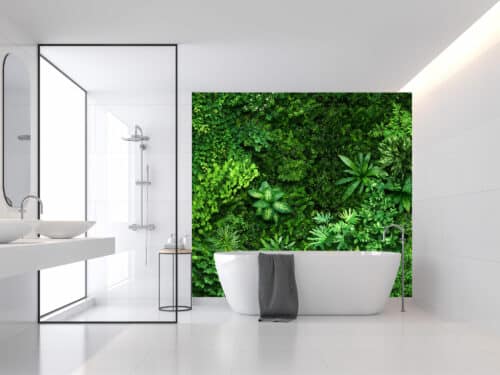Plants Wallpaper wall mural for sale South Africa
