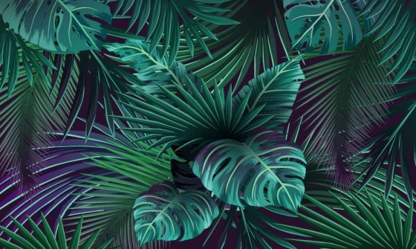 Saturated tropical leaves wallpaper and wall murals shop in South Africa. Wallpaper and wall mural online store with a huge range for sale.