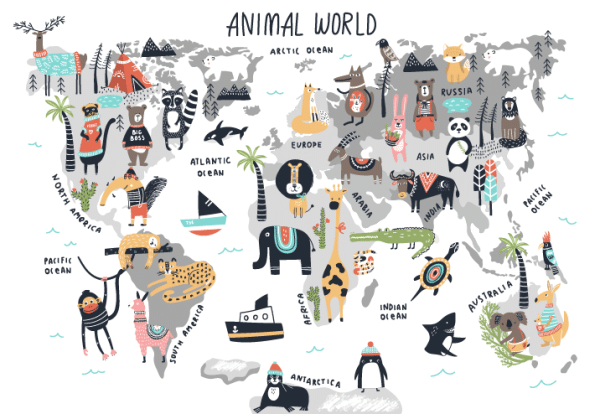 Animal map wallpaper and wall murals South Africa