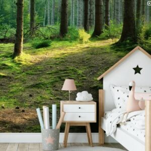 Forest wallpaper and wall murals for sale in South Africa. Wallpaper and wall mural online store with a huge range for sale.
