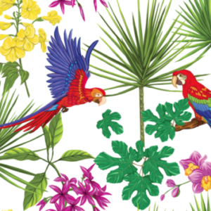Parrots and brahea leaves wallpaper and wall murals shop in South Africa. Wallpaper and wall mural online store with a huge range for sale.