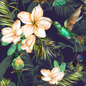 Hummingbirds and frangipani flowers wallpaper and wall murals shop in South Africa. Wallpaper and wall mural online store with a huge range for sale.