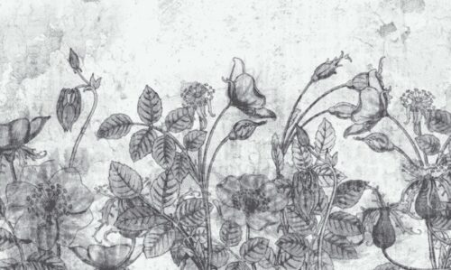 Sketched flowers and plants wallpaper and wall murals shop in South Africa. Wallpaper and wall mural online store with a huge range for sale.