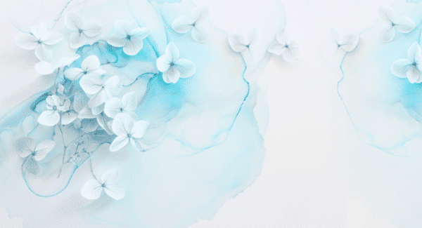 Teal and white watercolour flowers wallpaper and wall murals shop in South Africa. Wallpaper and wall mural online store with a huge range for sale.