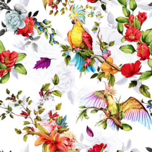 Bright birds and colourful flowers on white background wallpaper and wall murals shop in South Africa. Wallpaper and wall mural online store with a huge range for sale.