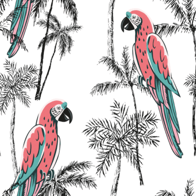 Antique parrot wallpaper and wall murals shop in South Africa. Wallpaper and wall mural online store with a huge range for sale.