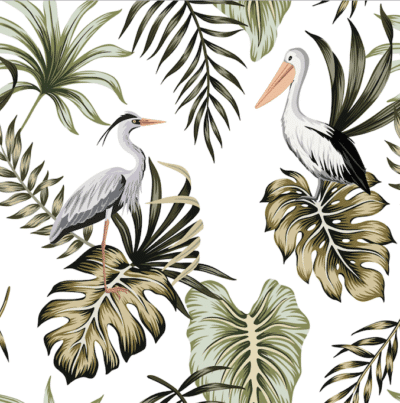 Pelicans and seagulls with leaves wallpaper and wall murals shop in South Africa. Wallpaper and wall mural online store with a huge range for sale. 