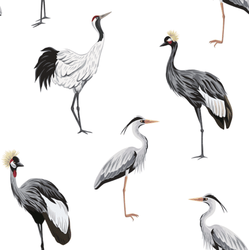 Crane big birds on white background wallpaper and wall murals shop in South Africa. Wallpaper and wall mural online store with a huge range for sale. 