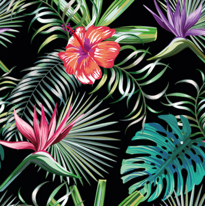 Tropical flowers and leaves wallpaper and wall murals shop in South Africa. Wallpaper and wall mural online store with a huge range for sale.