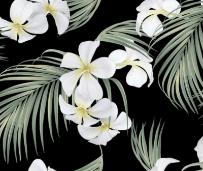 Frangipani flowers and fir leaves wallpaper and wall murals shop in South Africa. Wallpaper and wall mural online store with a huge range for sale.