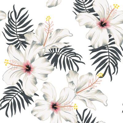 White hibiscus flowers and mono leaves wallpaper and wall murals shop in South Africa. Wallpaper and wall mural online store with a huge range for sale.