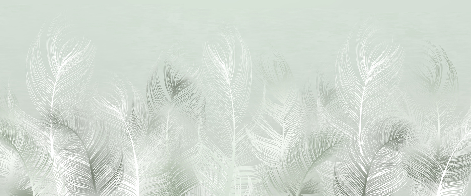 Mural Whisper Vines 2 Wallpaper and Wall Murals South Africa Beautiful decorative feathers on a light pistachio background. Interior printing. The mural art.