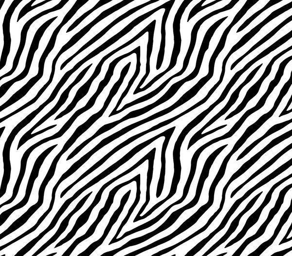 Zeebra Wallpaper