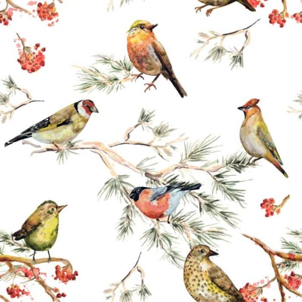 Feathered Friends Light Wallpaper
