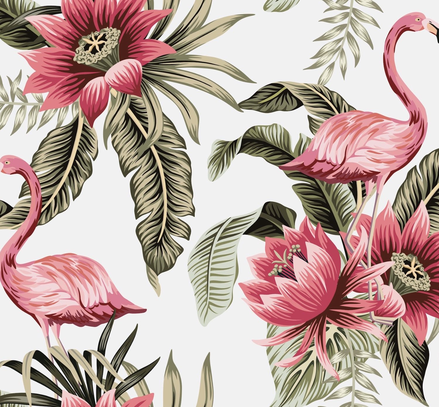 Pink proteas and flamingos with palms  wallpaper and wall murals shop in South Africa. Wallpaper and wall mural online store with a huge range for sale. 