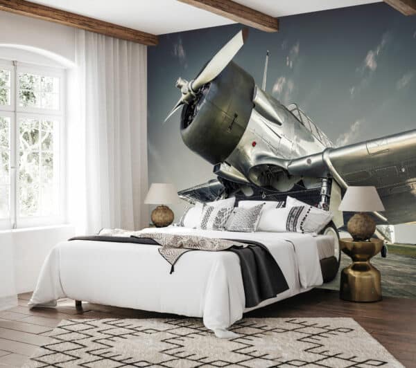 airplane wallpaper and wall murals South Africa.