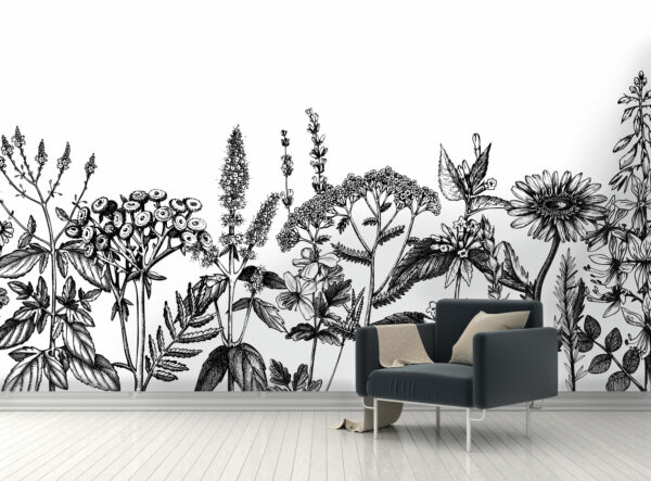 Botanical Line Vector wallpaper and murals for sale in South Africa. Wallpaper and wall mural online store with a huge range for sale.