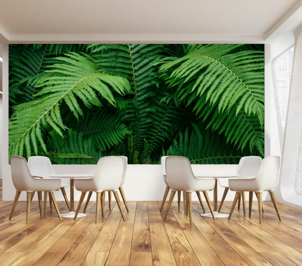 Wallpaper and Wall Murals South Africa fern si e1648217904734