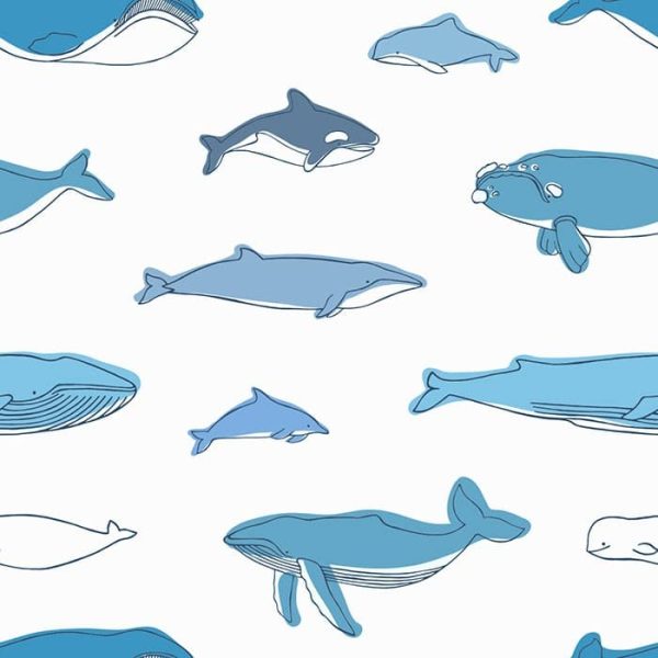 Watercolour Whales Wallpaper