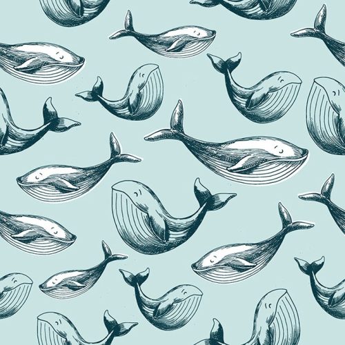 Whale of a Time Wallpaper | Wallpaper Online