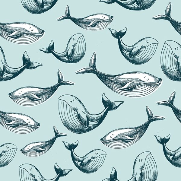 Whale of a Time Wallpaper