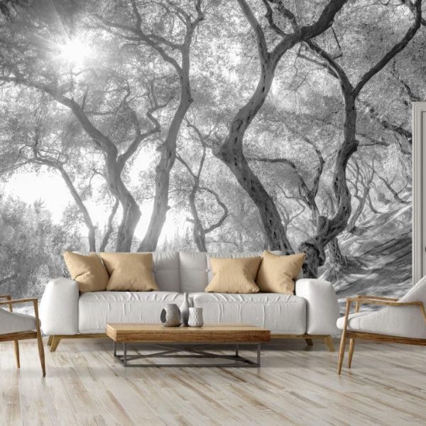 black and white wall mural for sale South Africa