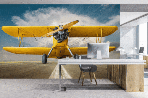 Plane wallpaper and wall murals for sale in South Africa. Wallpaper and wall mural online store with a huge range for sale.