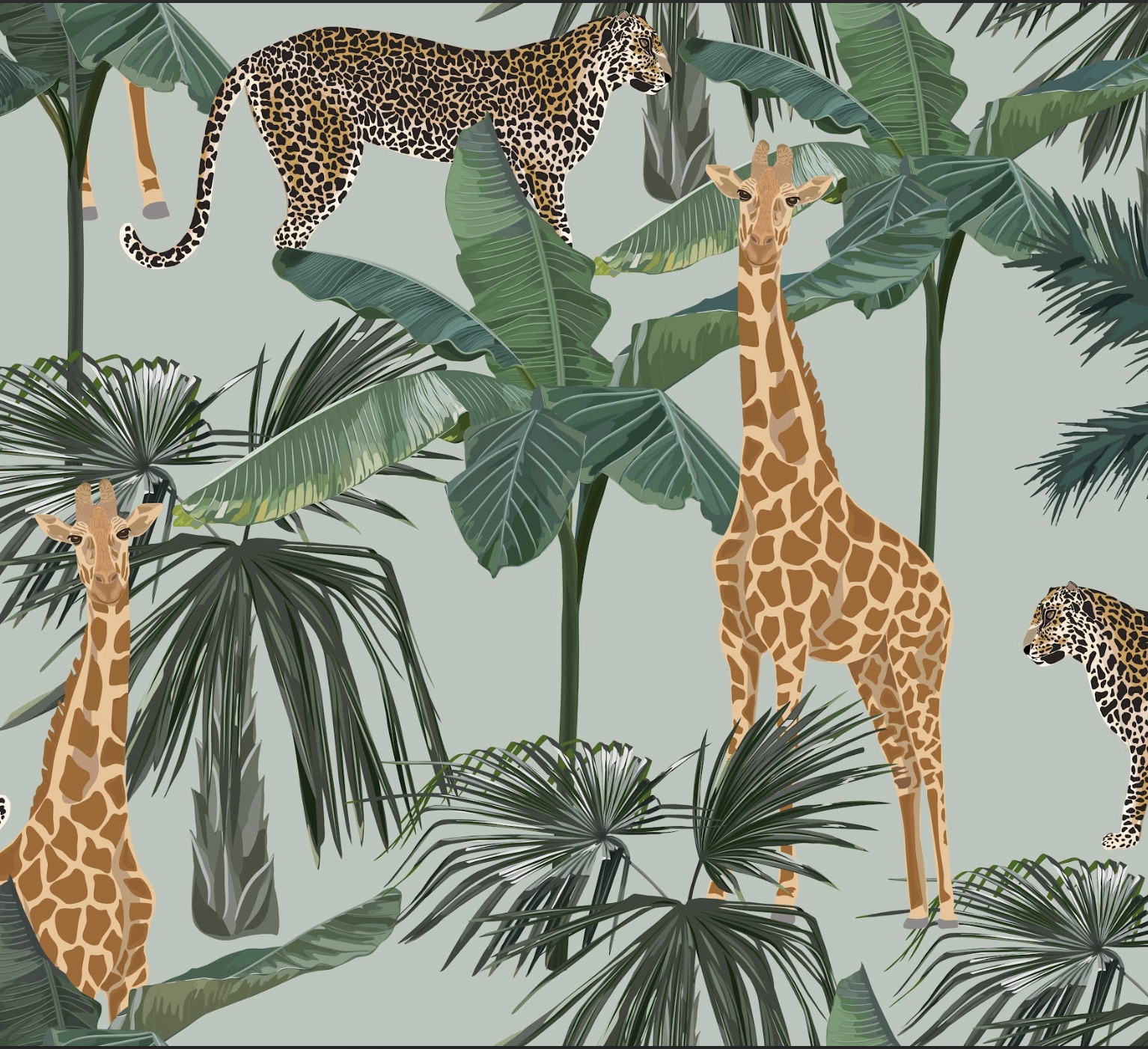 Giraffe wallpaper and wall murals shop in South Africa. Wallpaper and wall mural online store with a huge range for sale.