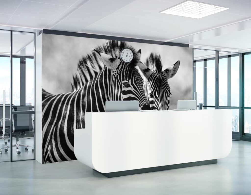 Wallpaper and Wall Murals South Africa zebra si e1647076718223