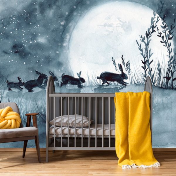 Kids Wallpaper and wall murals South Africa.