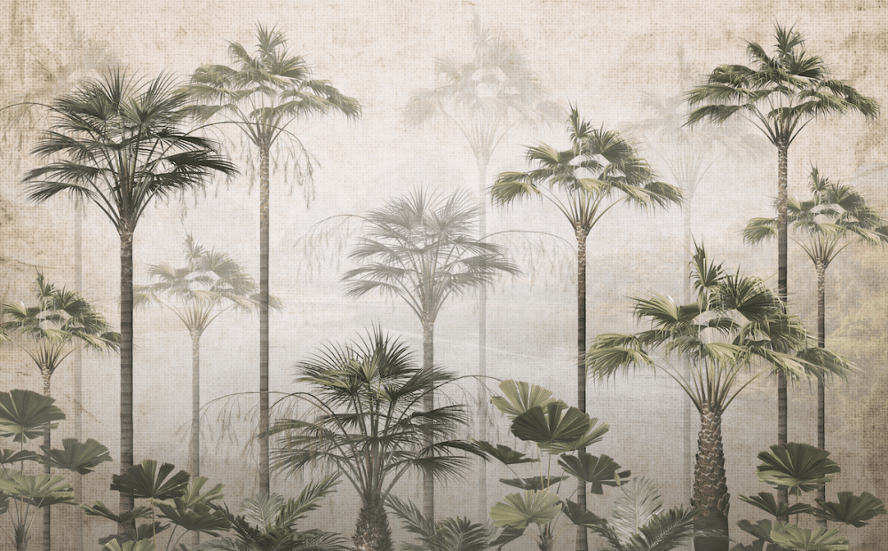 Forest Wallpaper and wall murals South Africa.