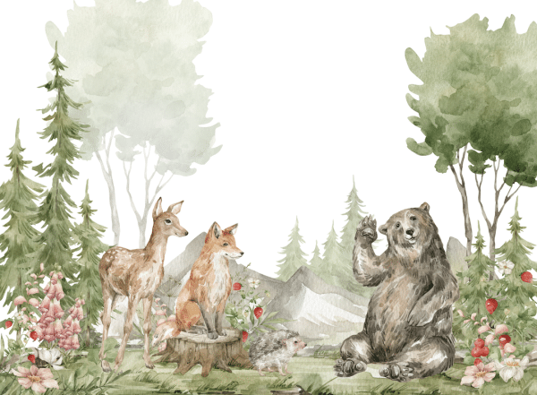 Kids Wallpaper and wall murals South Africa.