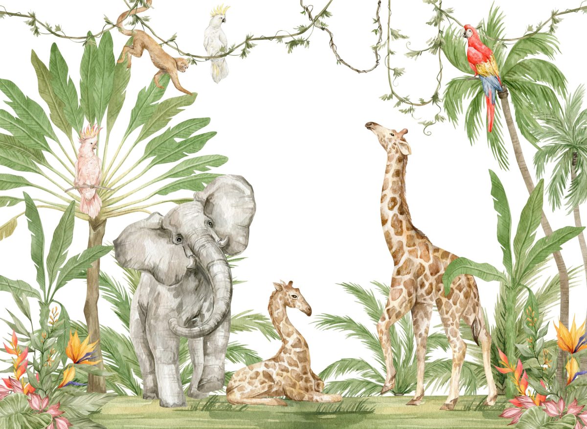 Kids animal Wallpaper and wall murals South Africa.