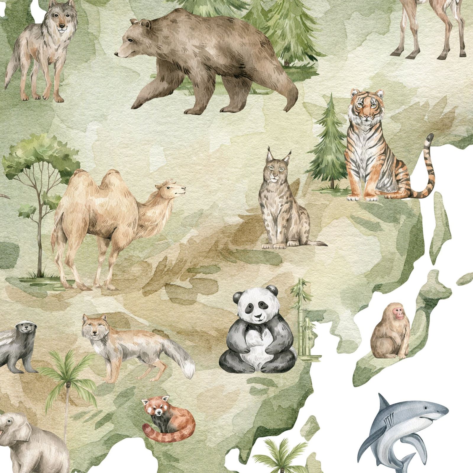 Mural Animal Kingdom Map 2 Wallpaper and Wall Murals South Africa Close-up of the Asia section of the animal world map mural: brown bear, tiger, camel, lynx, giant panda, red panda and snow monkey in watercolour.