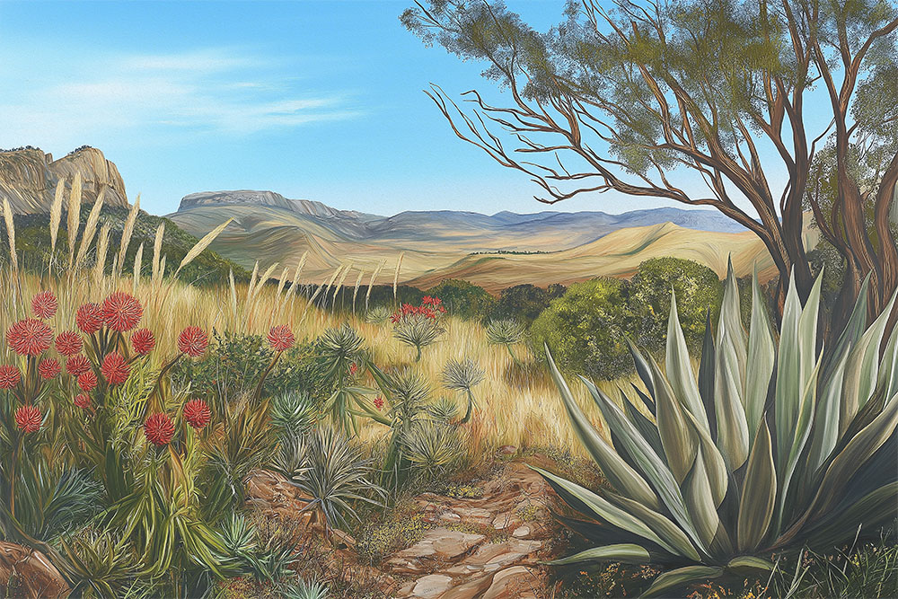 Barbedensis Mural 2 Wallpaper and Wall Murals South Africa Nature-inspired peel and stick mural depicting a vivid South African landscape with aloe, protea, and distant mountain scenery.