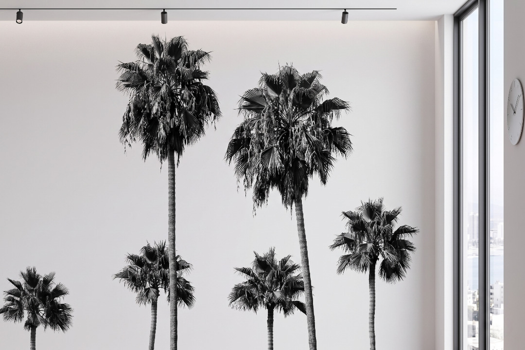 Monochrome Palm Horizon Mural 1 Wallpaper and Wall Murals South Africa A zoomed-in of black and white palm trees with slender trunks and textured fronds creating a modern tropical mural design.
