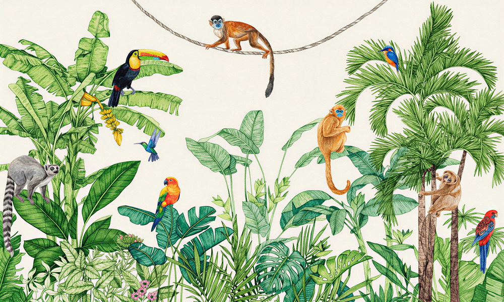 Jungle Canopy Mural 3 Wallpaper and Wall Murals South Africa Detailed perspective of the Jungle Canopy Mural