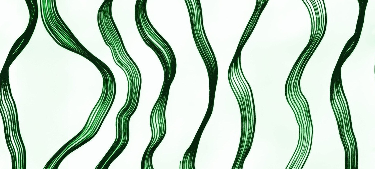 Verdant Reed Lines 4 Wallpaper and Wall Murals South Africa Verdant Reed Lines close-up showing texture and colour