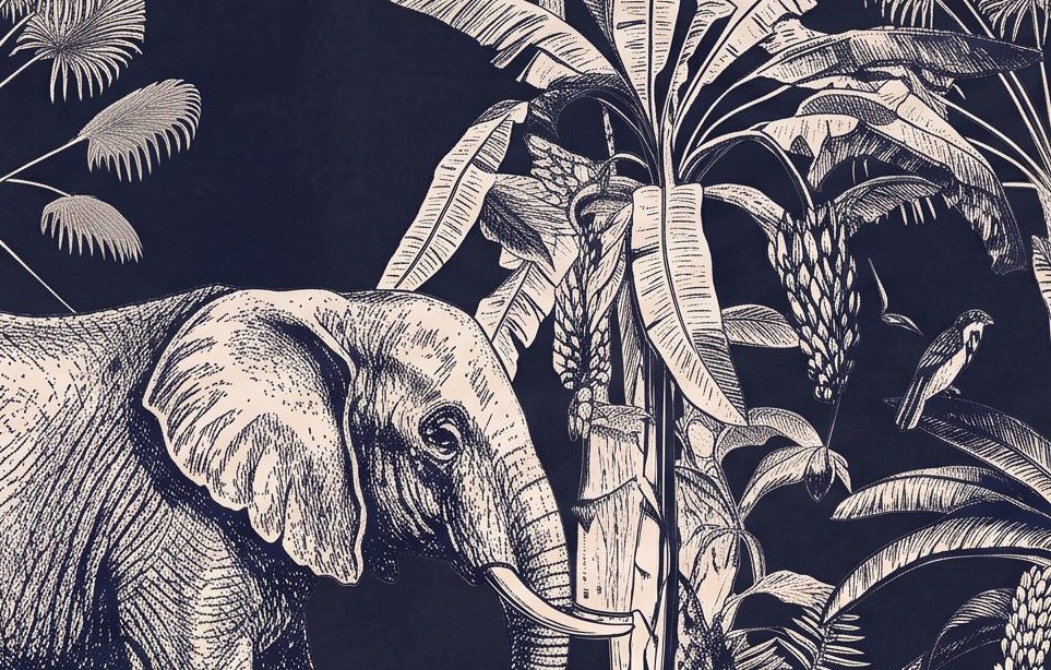 Midnight Jungle Safari 4 Wallpaper and Wall Murals South Africa Midnight Jungle Safari close-up showing texture and colour