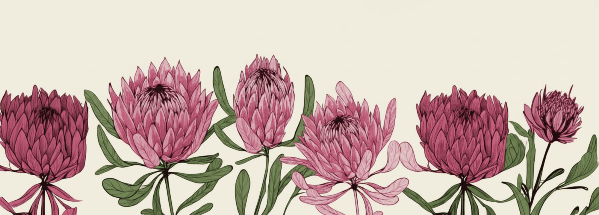 Protea Row