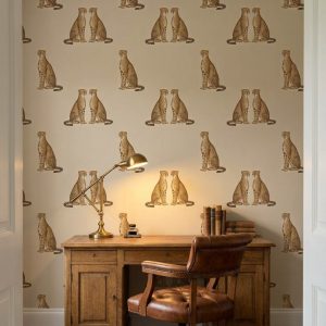 Sitting Cheetahs shown in a living room