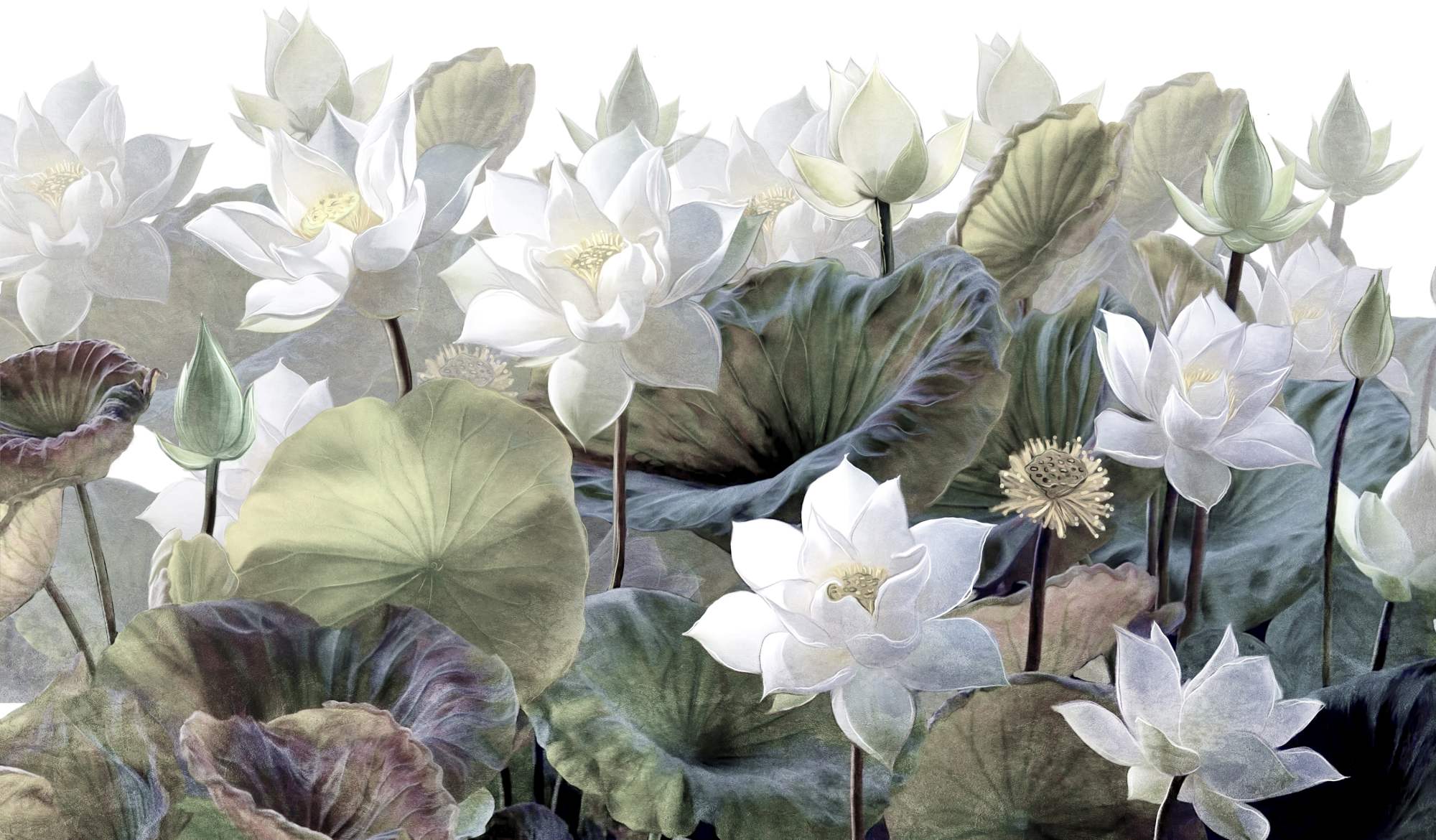 Mural Trumpets 2 Wallpaper and Wall Murals South Africa Mural Trumpets, lotus flowers in white, green and plum mural - WallpaperOnline