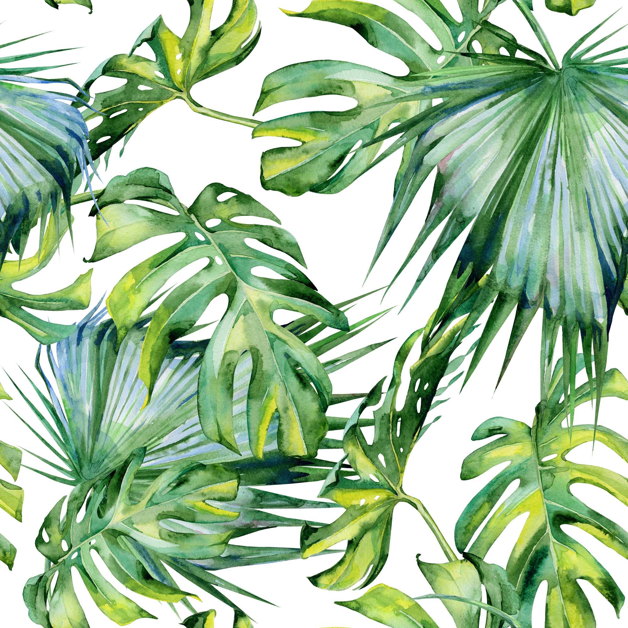 Delicious Palms Wallpaper 2 Wallpaper and Wall Murals South Africa Delicious Palms, tropical palm and monstera leaves in green and white wallpaper - WallpaperOnline