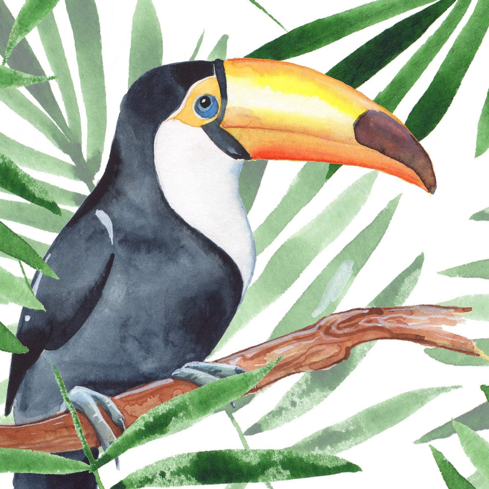 One Toucan Wallpaper 4 Wallpaper and Wall Murals South Africa One Toucan Wallpaper close-up showing texture and colour