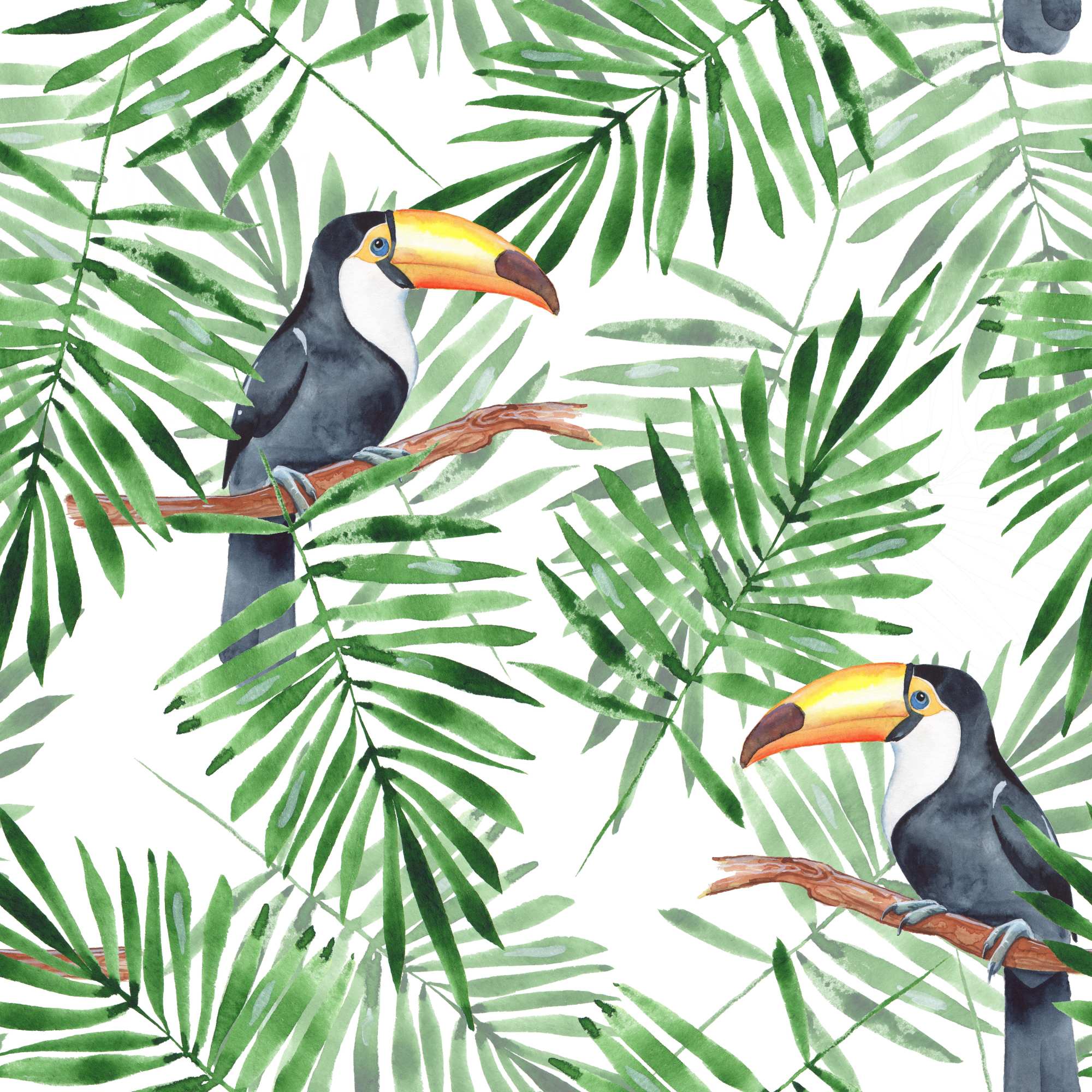 One Toucan Wallpaper 1 Wallpaper and Wall Murals South Africa One Toucan Wallpaper, toucan and palm fronds in green and white wallpaper - WallpaperOnline